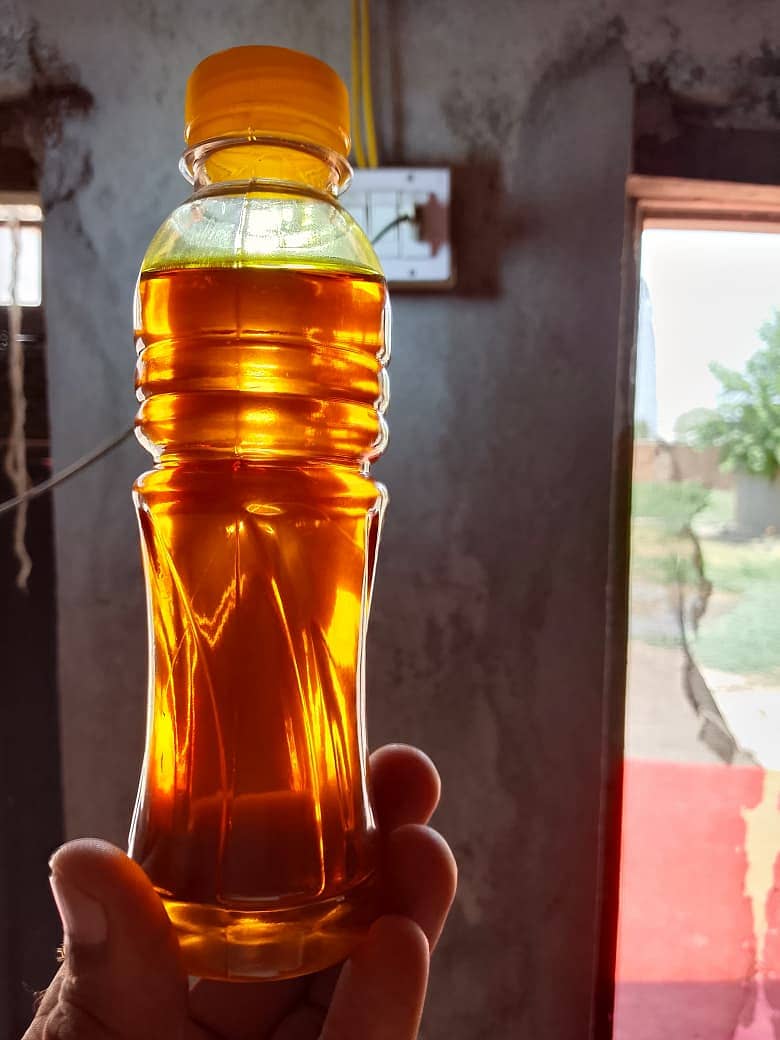 سرسوں اینڈ کینولا تیل 1