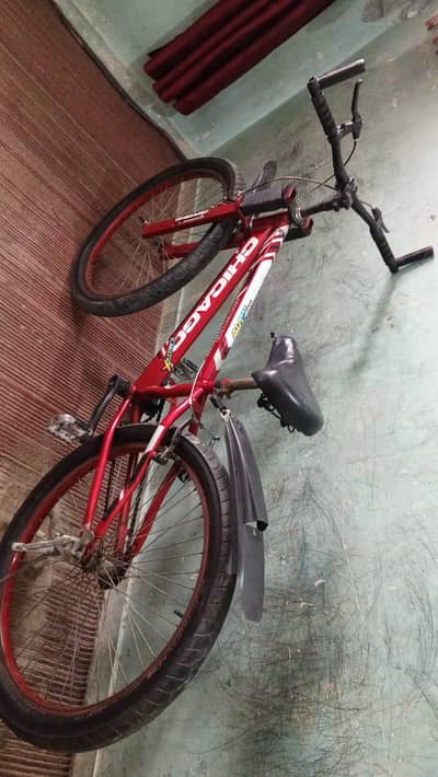 Slightly used Chicago Cycle 24 Inch
