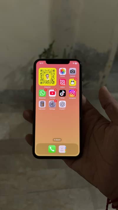 Apple iPhone XS