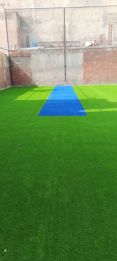 artificial grass cricket ground