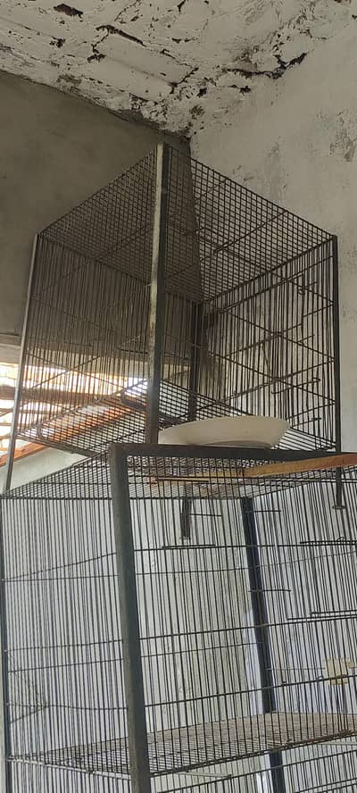 Pinjra For sale 03236345111  only Whstaapp