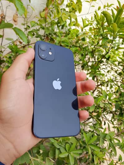 Apple iPhone 12