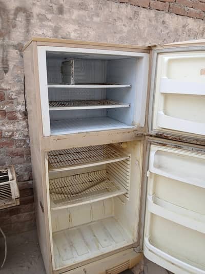 pel firg good condition
