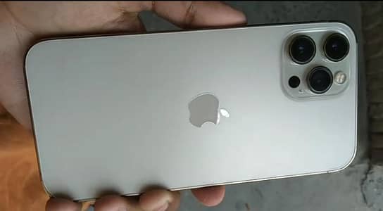 Apple iPhone 12 Pro Max