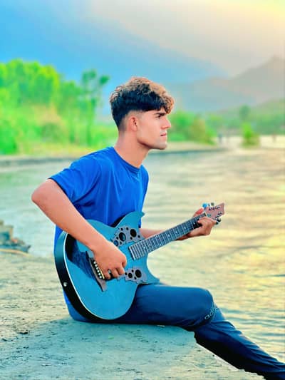 acoustic professional guitar