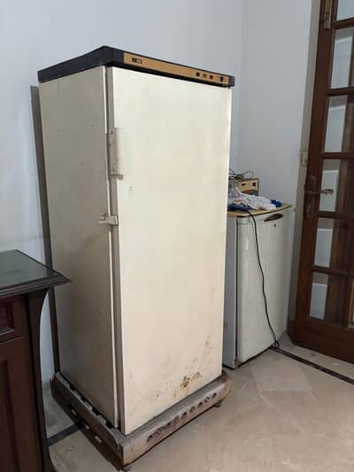 Indesit freezer
