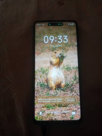 Tecno Pova 5 Pro 5G