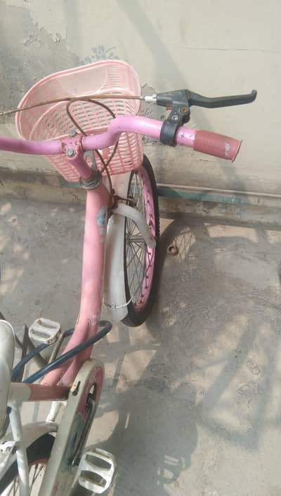 pink girl  bicycle