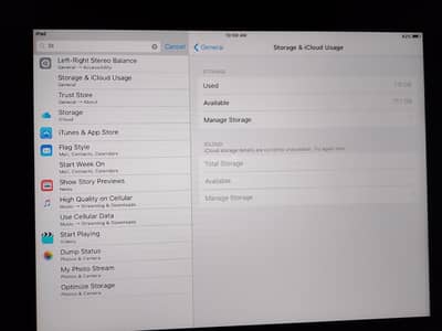 iPad saaf condition