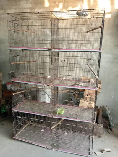 cage for parrots