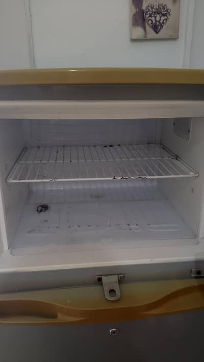Fridge
