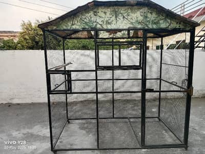 Parrots and Hens cage