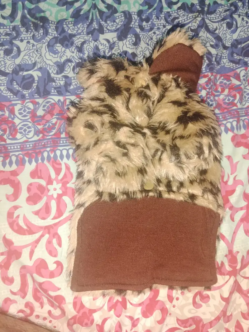 brand new cat wool shirt