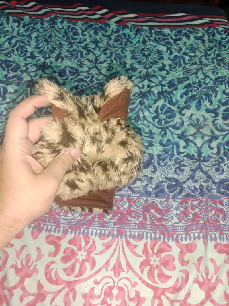 brand new cat wool shirt — photo 3