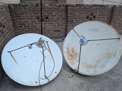 Dish  Antenna