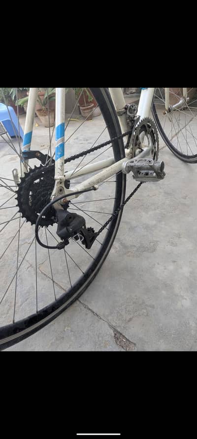 TRIACE AMERICAN ROAD BIKE