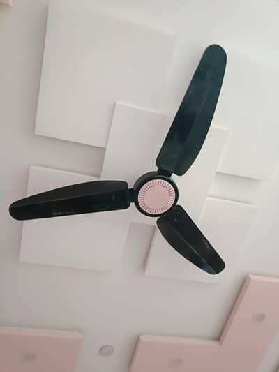 New condition G. F. c fan urgent for sale