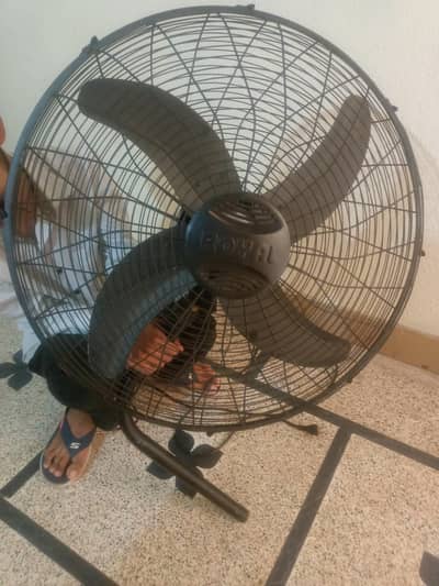 Full size royal black fan