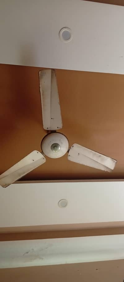 ceiling fans