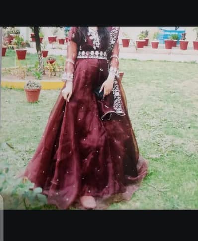 ladies dress
