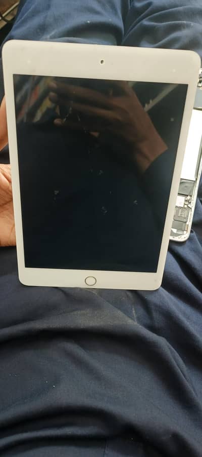 ipad mini 5 (dead condition)