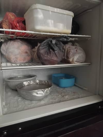 Dawnlance refrigerator