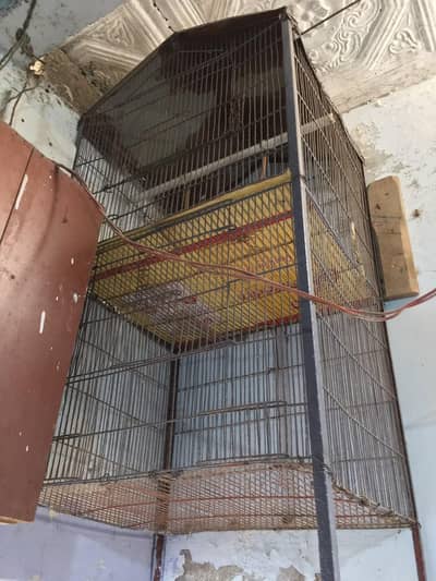 2 porshan Wala cage ha best quality ka