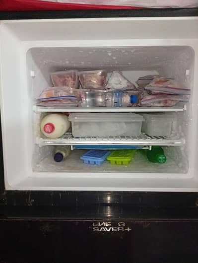urgent sale medium size dawlance refrigerator