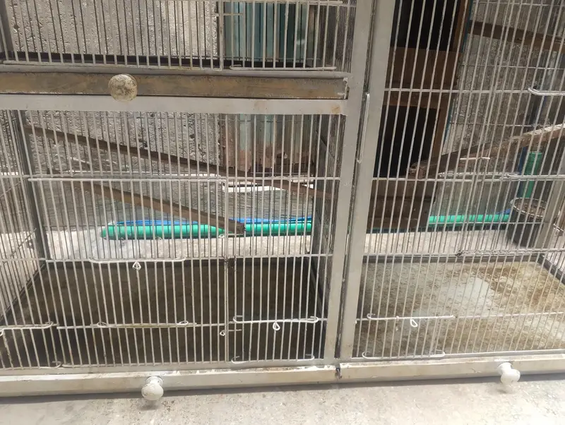 cage use like new — photo 3