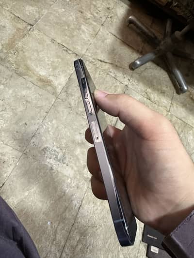 Apple iPhone 13 Pro Max Dual Physical