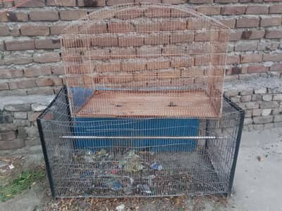 Cages