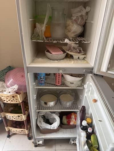 Fridge for Sale