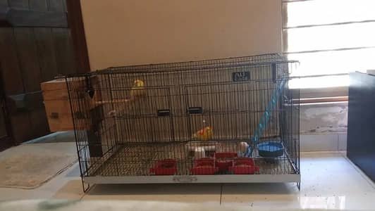 Quality Cage In Metal