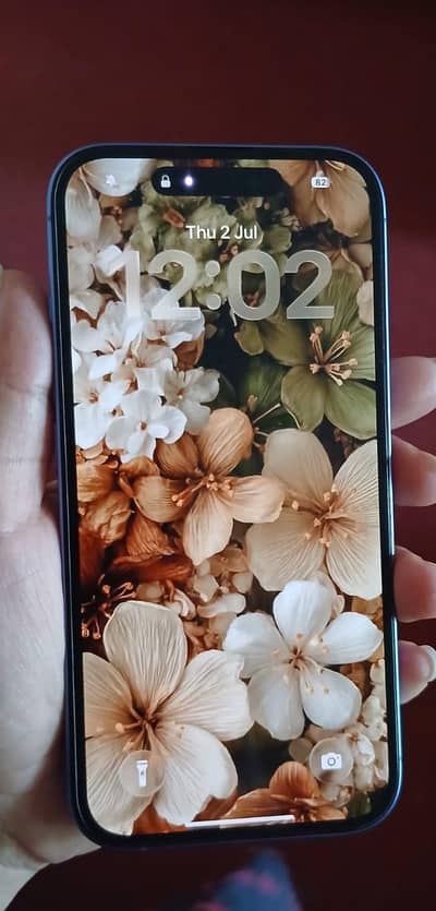Apple iPhone 16
