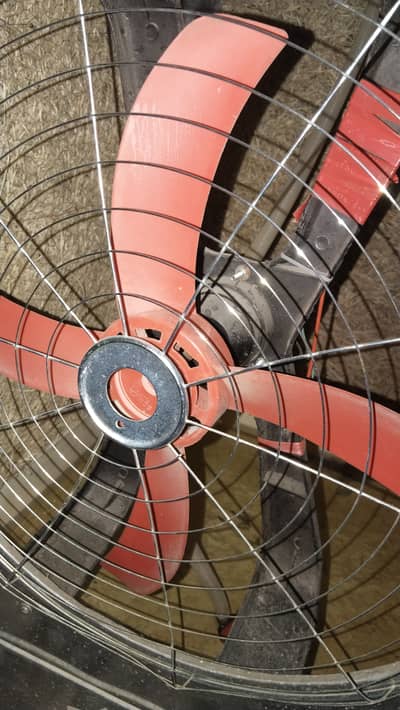 10 days used air cooler jisti