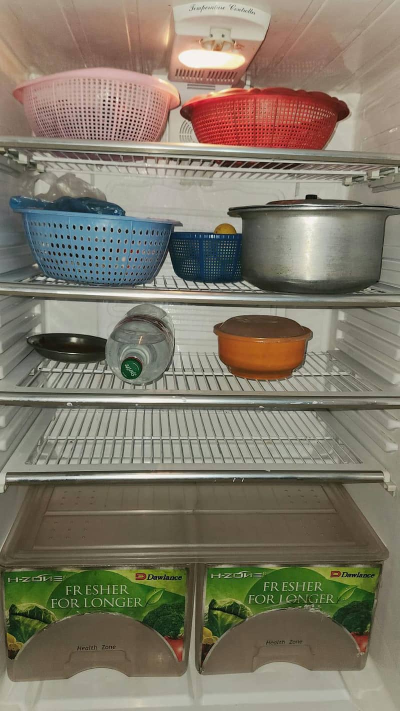 Full size fridge 5