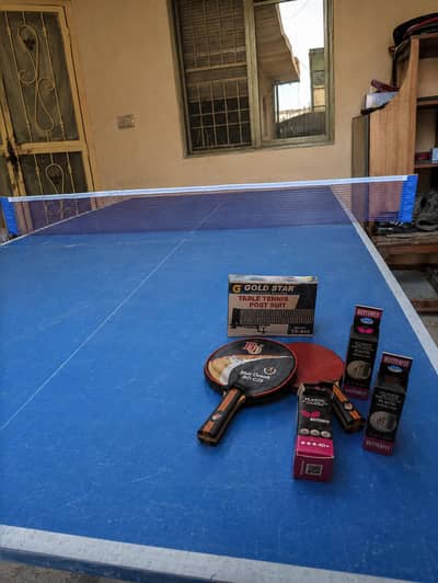 TABLE TENNIS WITH ITS EQUIPMENT