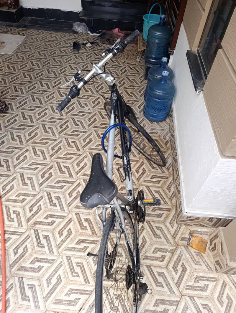 imported  bicycle 1