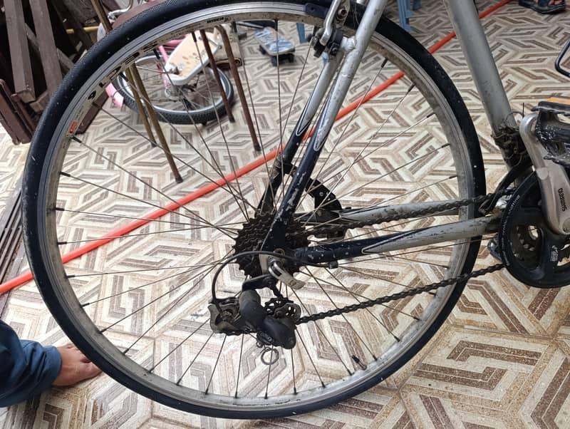 imported  bicycle 2