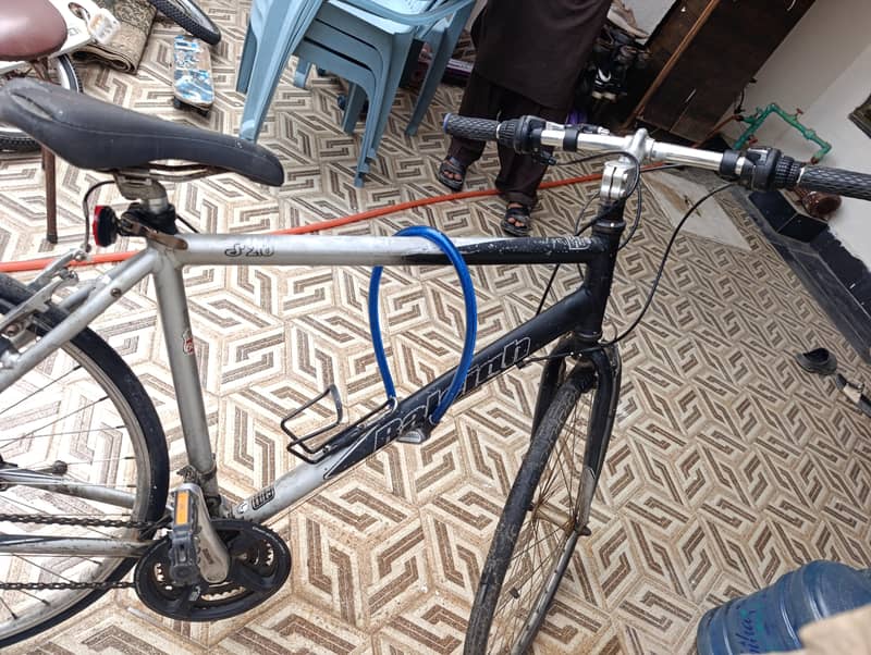 imported  bicycle 3