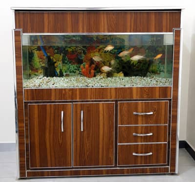 Wooden Aquarium Cabinet + Glass Tank | 50 x 55 Inch | Good Condition