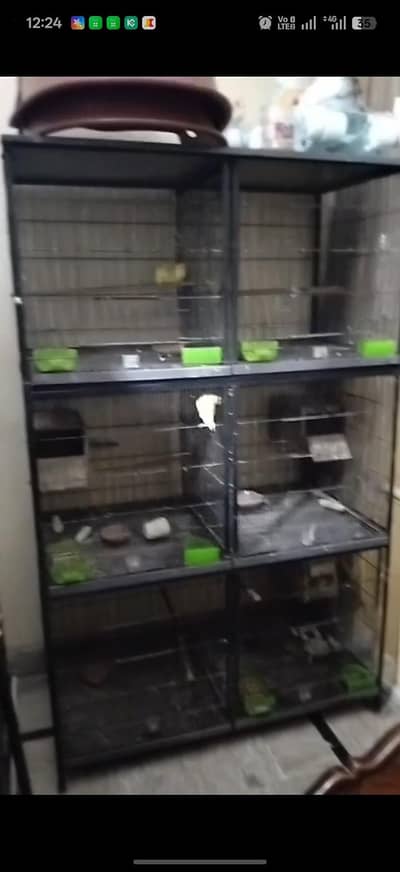 2 cage available good condition