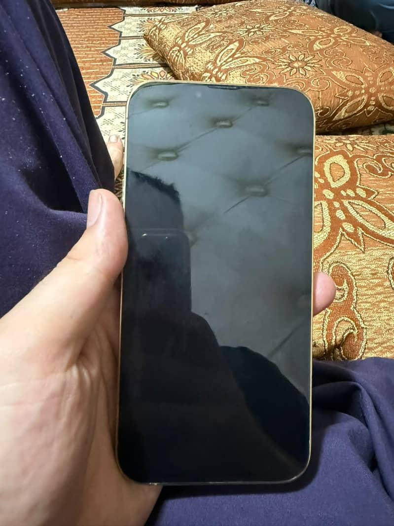 Apple iPhone 16 Pro Max 1
