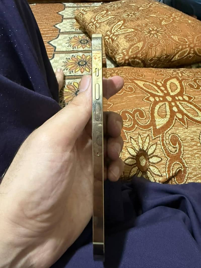 Apple iPhone 16 Pro Max 2
