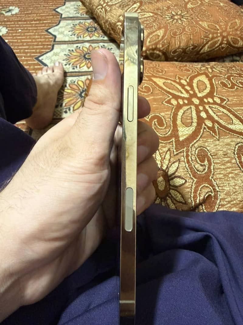 Apple iPhone 16 Pro Max 3