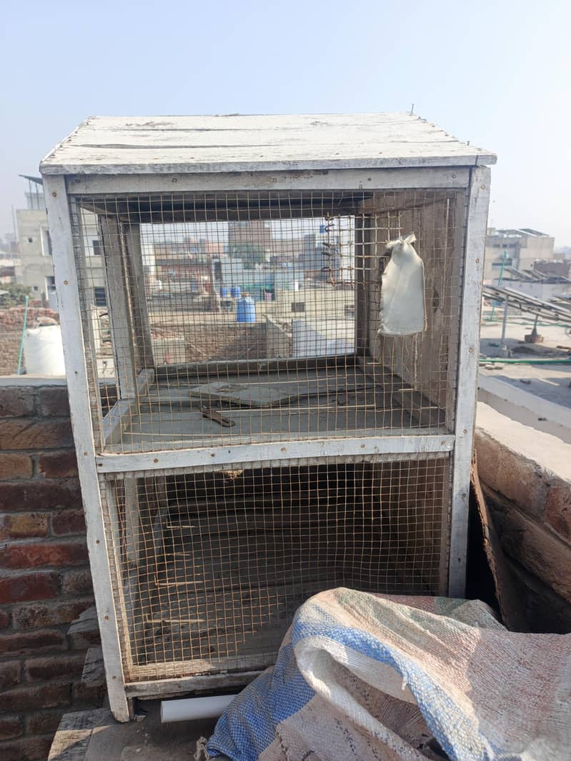 کبوتر/پرندوں کا مضبوط لکڑی کا پنجرہ برائے فروخت 1
