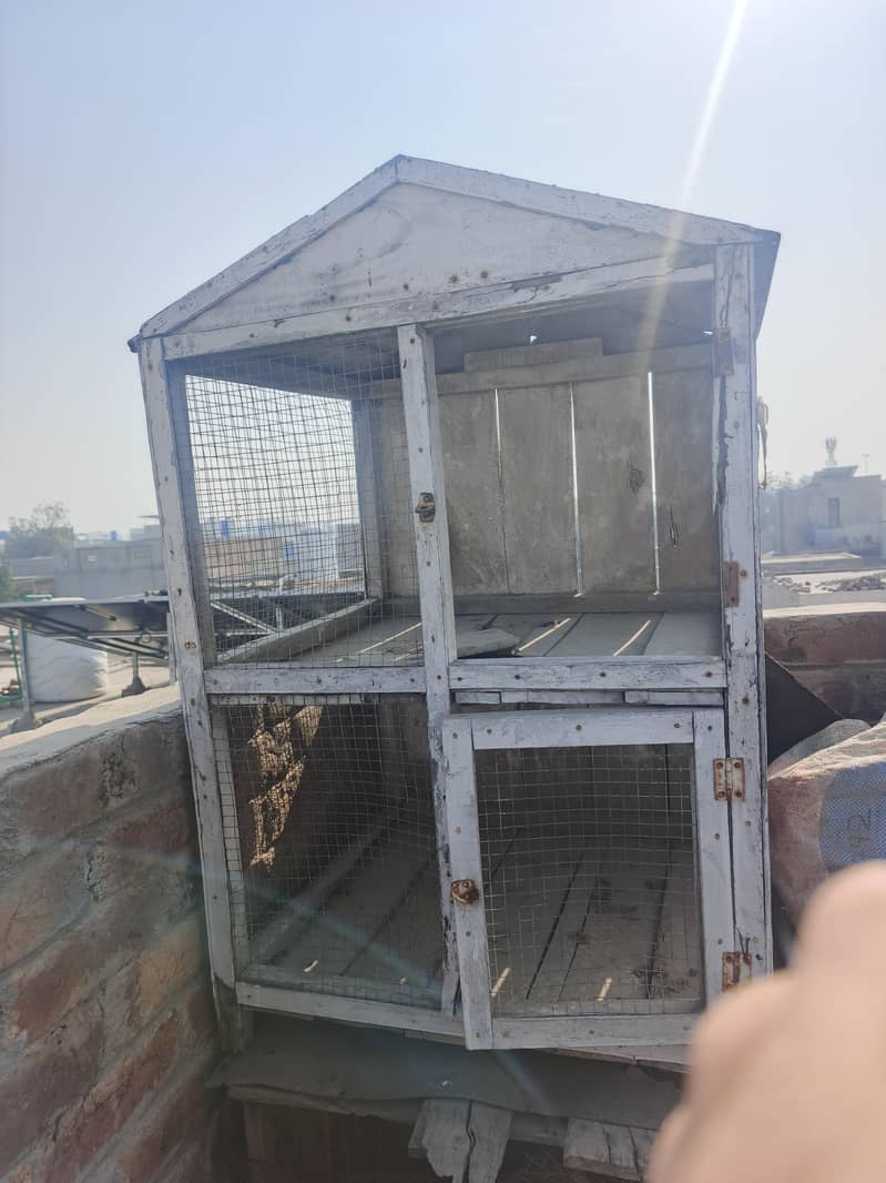 کبوتر/پرندوں کا مضبوط لکڑی کا پنجرہ برائے فروخت 5