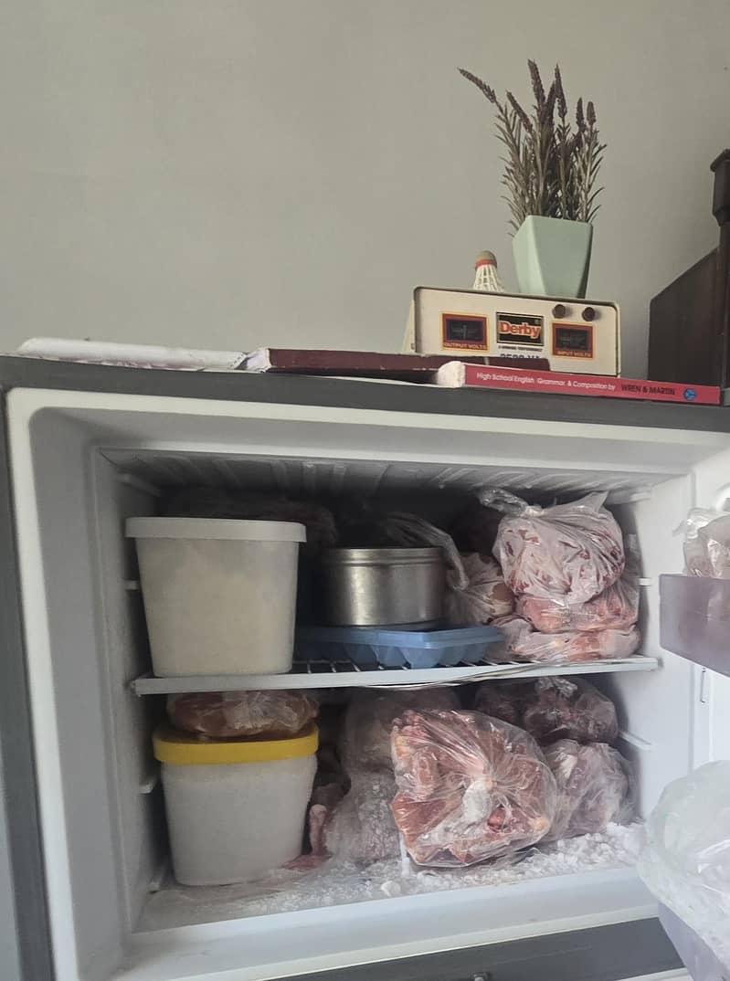 refrigrator 2