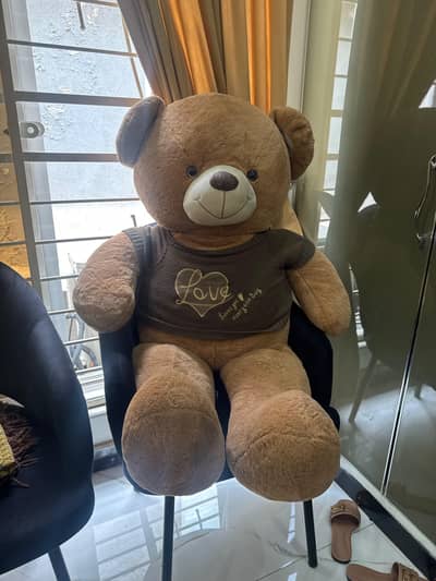 korean Teddy Bear for sale