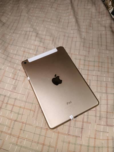 Apple iPhone Other Model